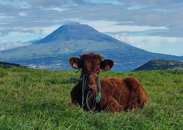 Mein Faial, With Pico And Seaview * Horta (Azores)