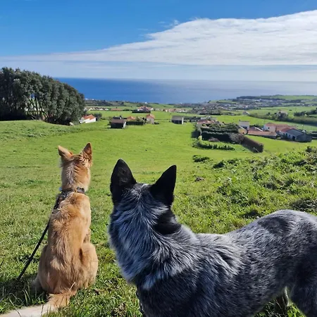 شقة Mein Faial, With Pico And Seaview