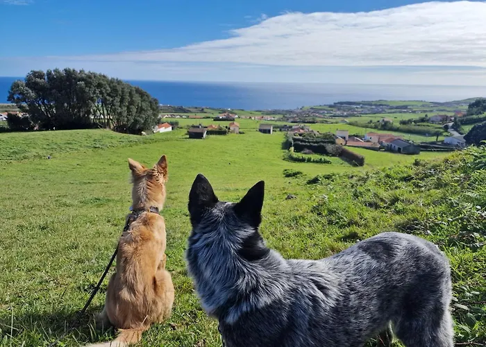 Apartman Mein Faial, With Pico And Seaview